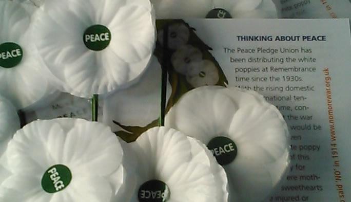 White poppies and leaflets