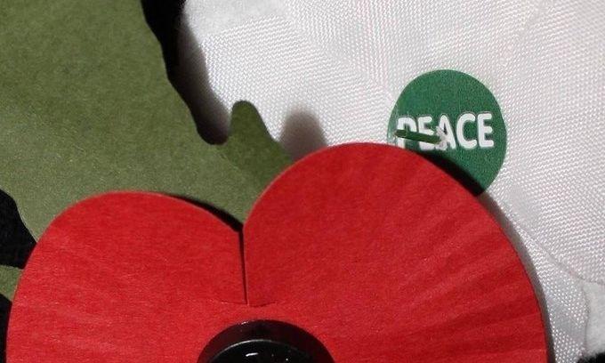 White poppy and red poppy together
