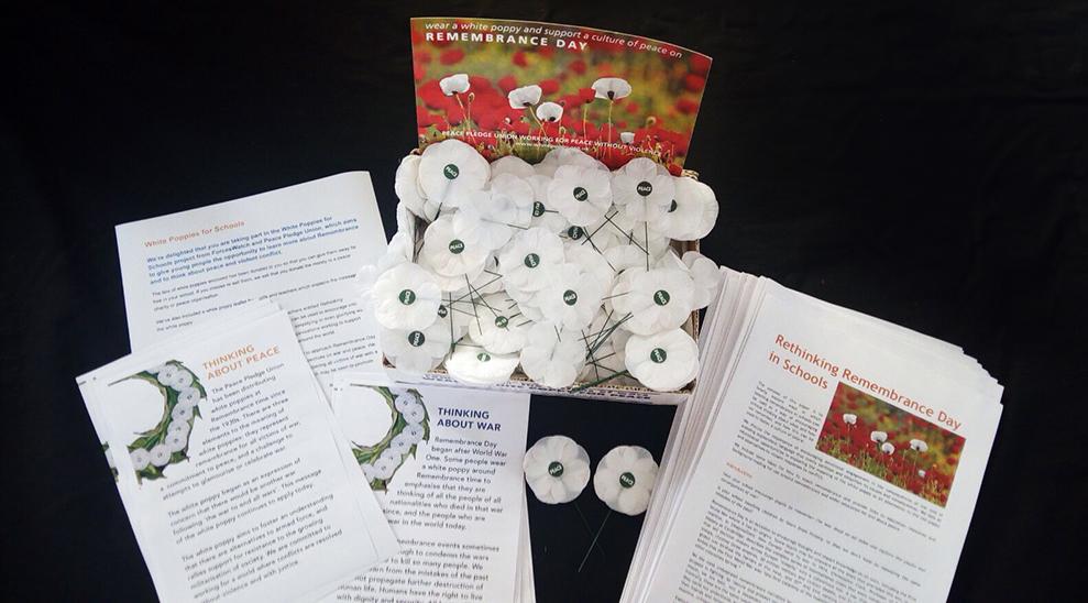 White poppies in schools pack